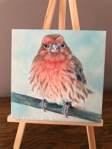 Critter Squares - Valentino CP e-Packet